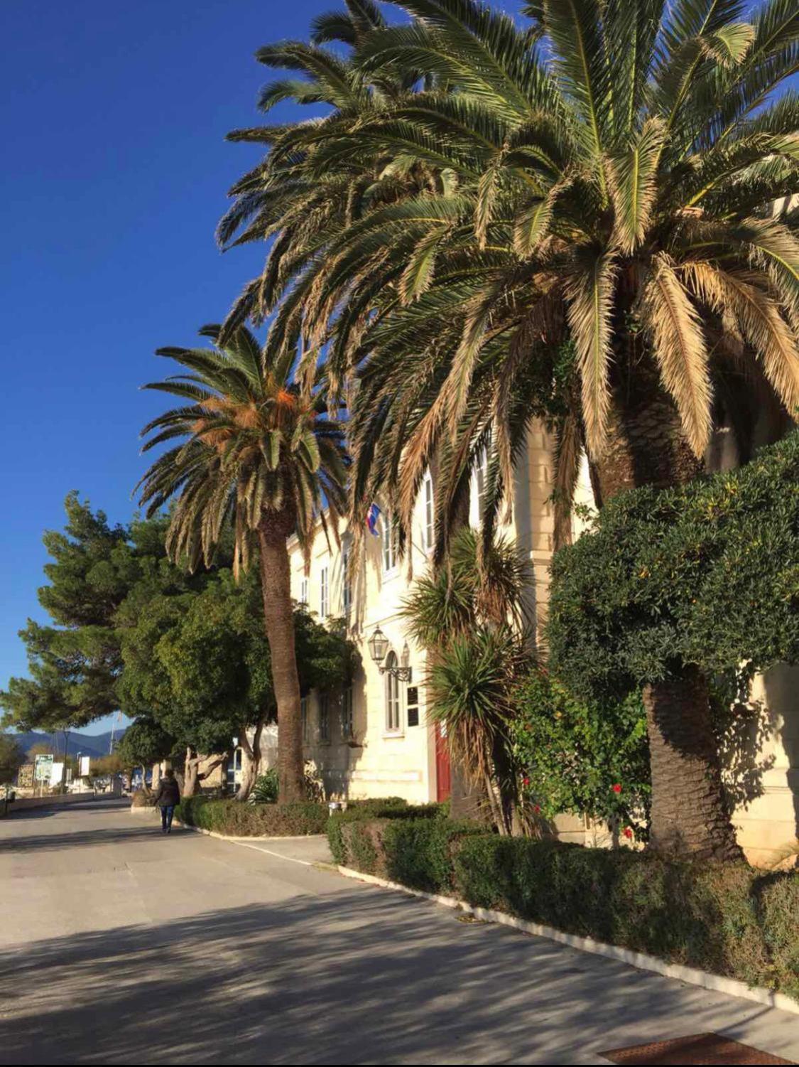 אורביץ Villa Vinka מראה חיצוני תמונה